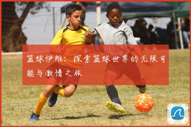 篮球伊维：探索篮球世界的无限可能与激情之旅
