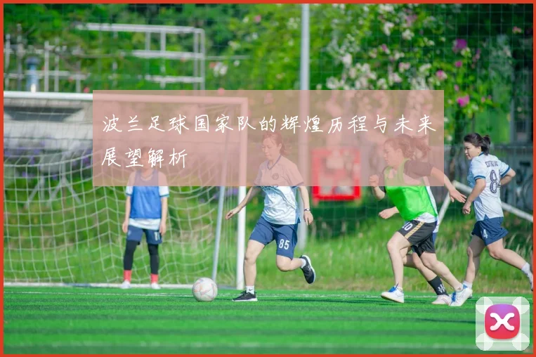 波兰足球国家队的辉煌历程与未来展望解析