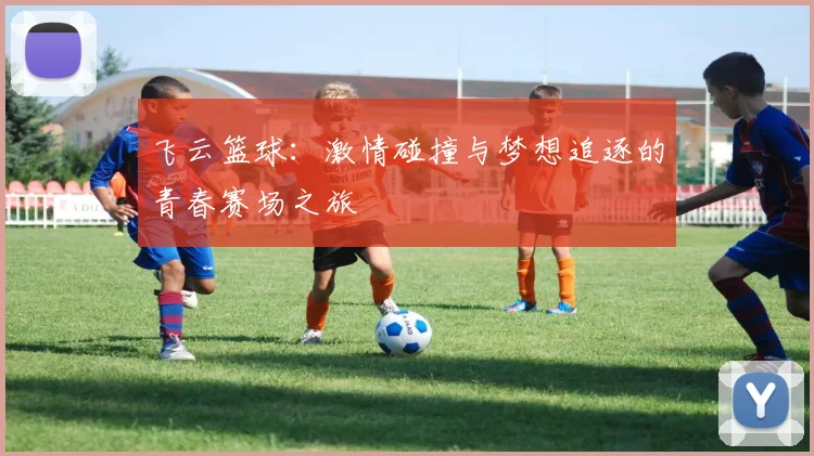 飞云篮球：激情碰撞与梦想追逐的青春赛场之旅