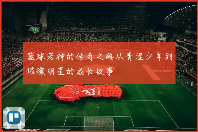 篮球若神的传奇之路从青涩少年到璀璨明星的成长故事