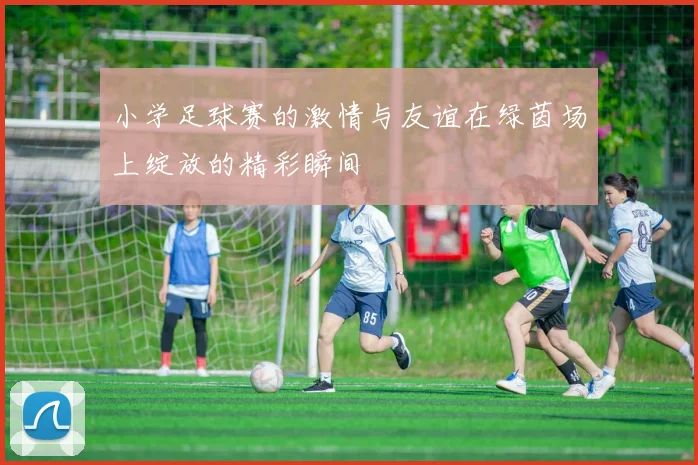 小学足球赛的激情与友谊在绿茵场上绽放的精彩瞬间