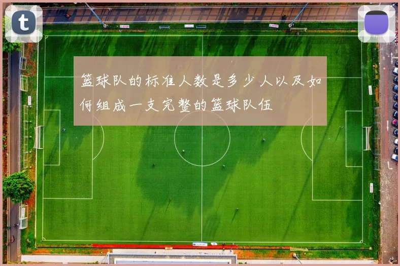 篮球队的标准人数是多少人以及如何组成一支完整的篮球队伍