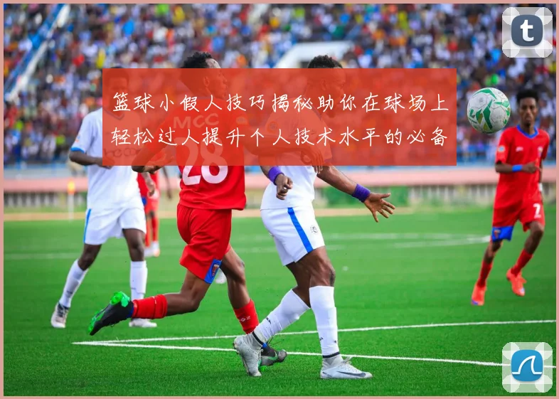 篮球小假人技巧揭秘助你在球场上轻松过人提升个人技术水平的必备指南