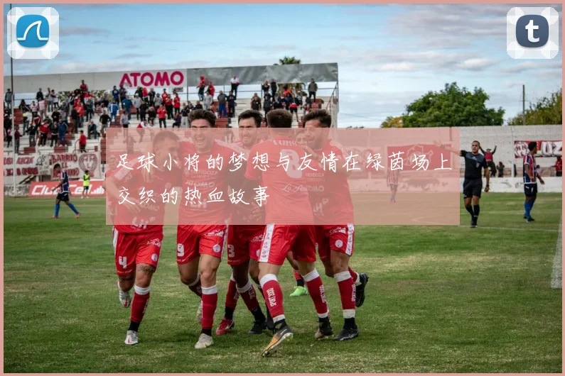 足球小将的梦想与友情在绿茵场上交织的热血故事