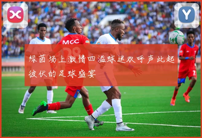 绿茵场上激情四溢球迷欢呼声此起彼伏的足球盛宴