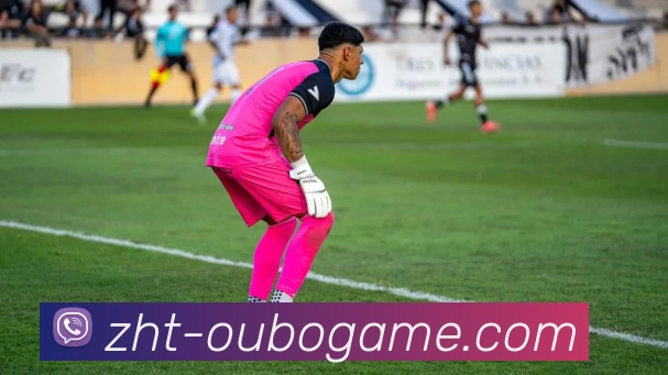 欧博平台平台生态图